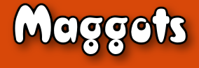 Maggots