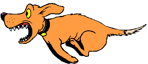 Dog on the double!