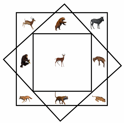 Nine animals in three squares