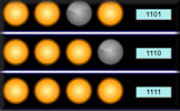 Binary Numbers