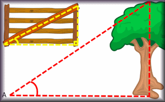 Trigonometry  Activity
