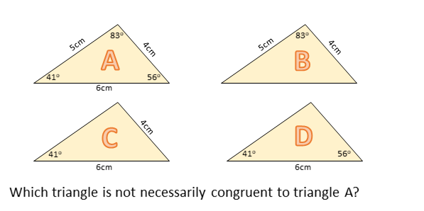 Question 8