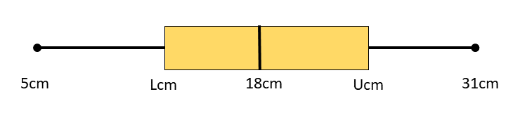 Box Plot