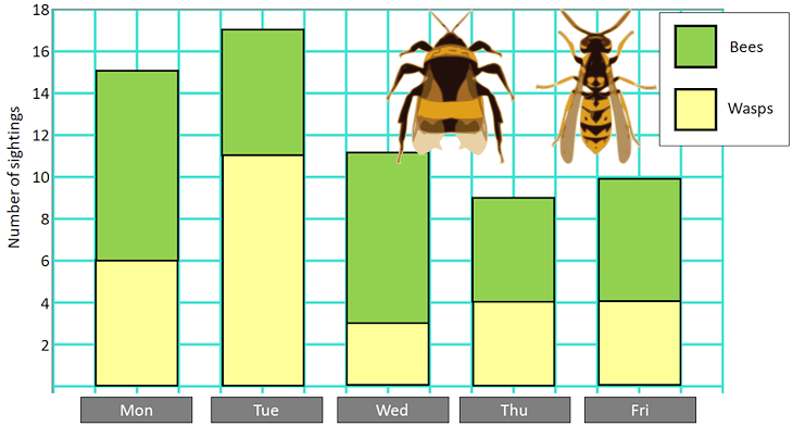 Bees and Wasps