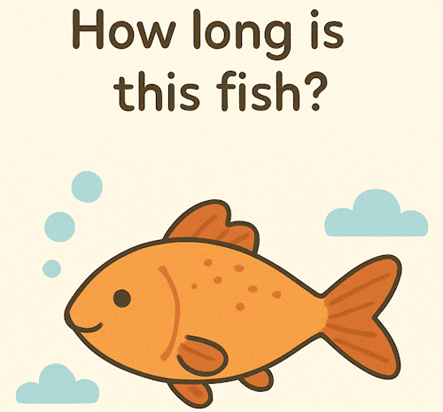 How long is this fish?