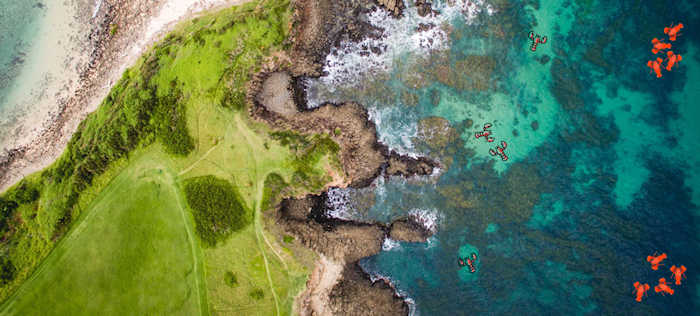 aerial view