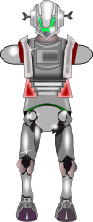 Body