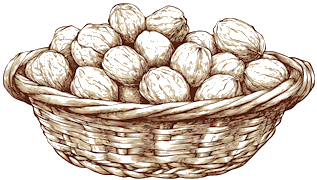 A basket of nuts