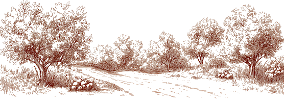 Orchard