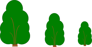 Three Trees