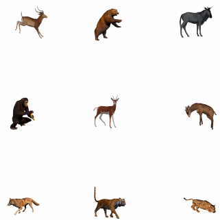 Nine Animals