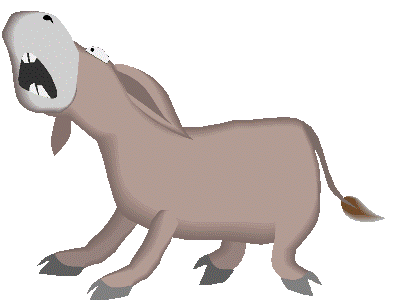 Donkey