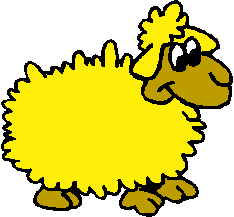 Yellow Sheep