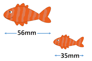 Ratio Question 10 picture