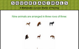 Squared Animals