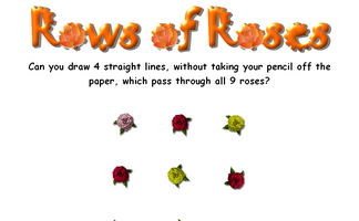 Rows of Roses