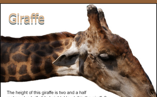 Giraffe