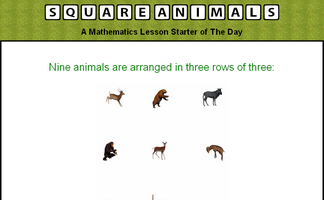 Squared Animals