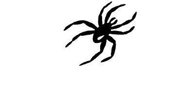 Small Spider