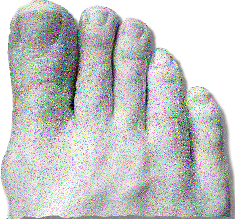 Foot