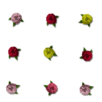 9 roses