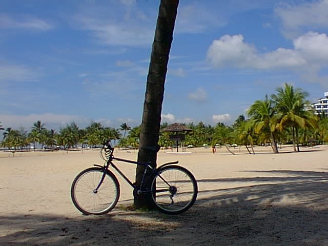 New bike
