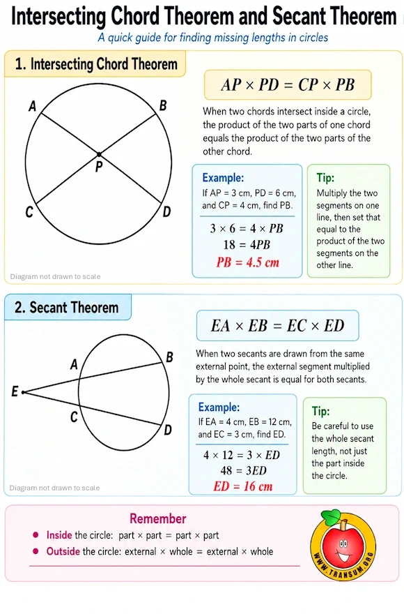 Infographic
