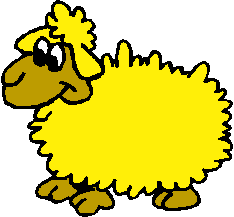 Sheep