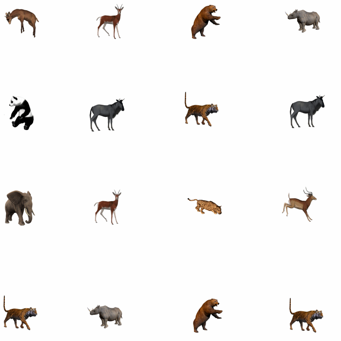 Sixteen Animals